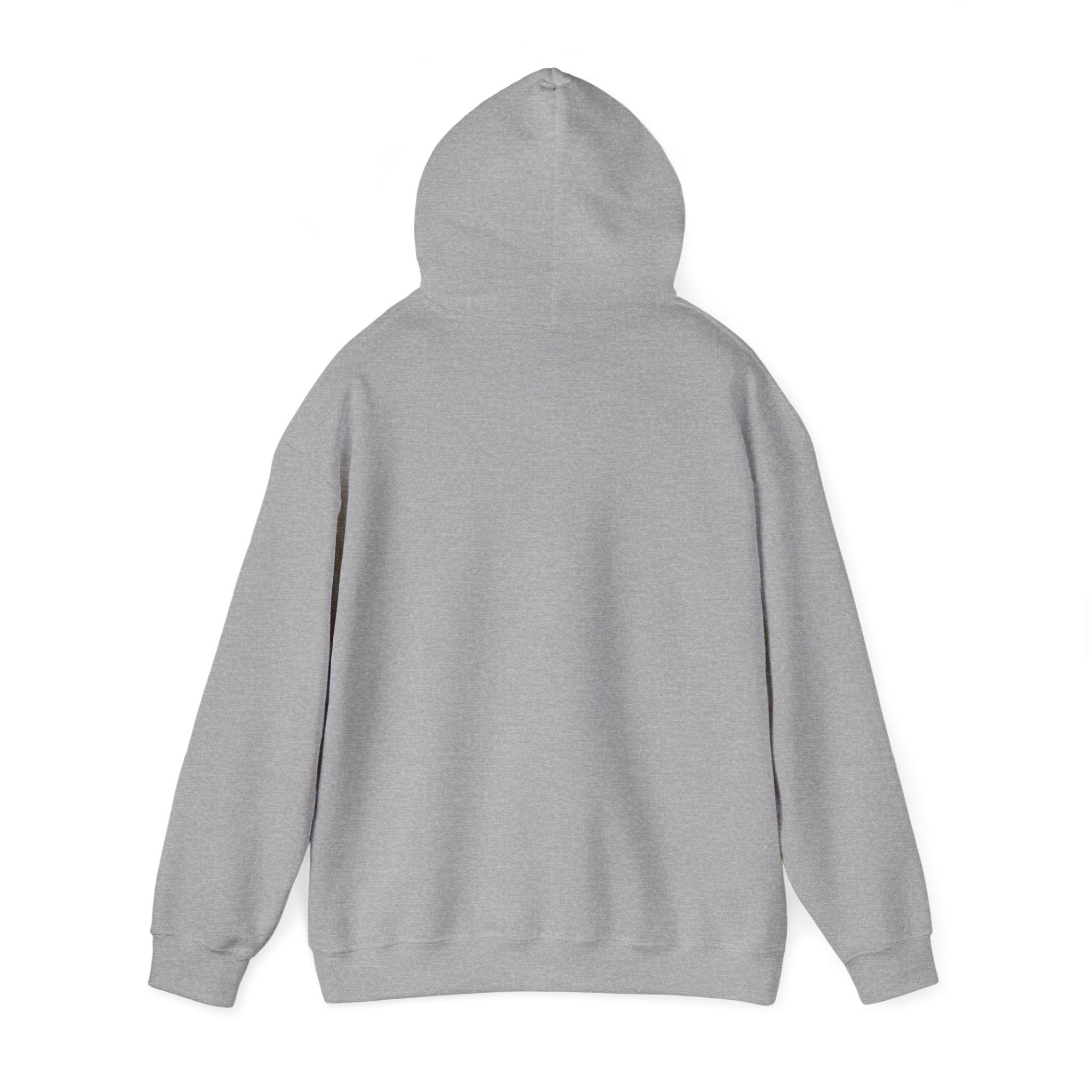 BMW Airhead Motorcycle Sweatshirt | Unisex Heavy Blend™ Hoodie, Airhead Design, Perfect Gift for Bikers, Cozy Casual Wear